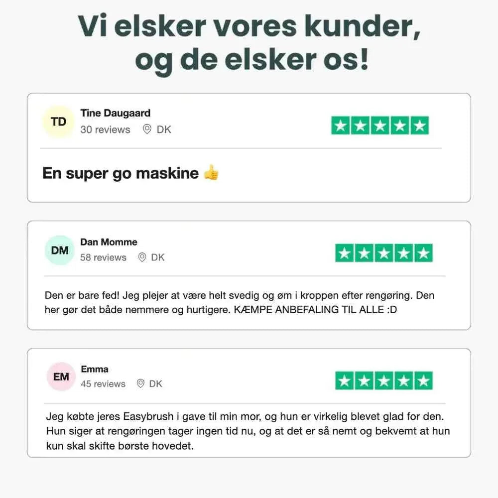 EasyBrush - Rengøringsbørste EasyClean Danmark